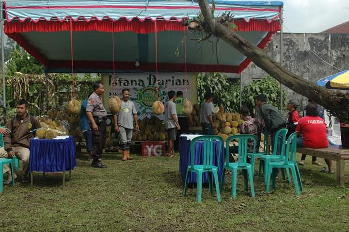 Festival Durian Tretes, Sepi Peminat.