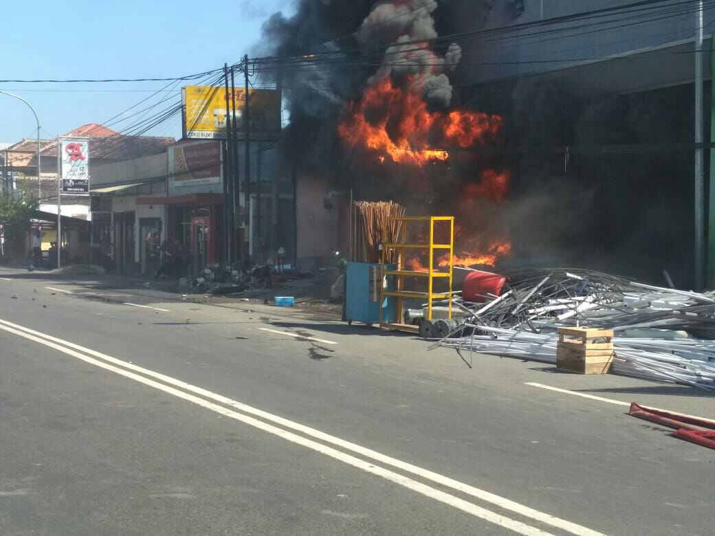 Sijago Merah Lalap Toko Bangunan, di Asem Bagus Situbondo.