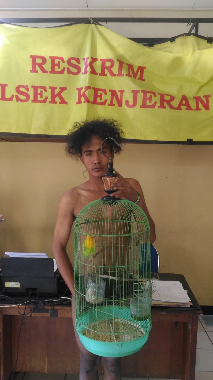 Gara-Gara Love Bird, Pria Ini Mendekam Dalam Sel Polsek Kenjeran.