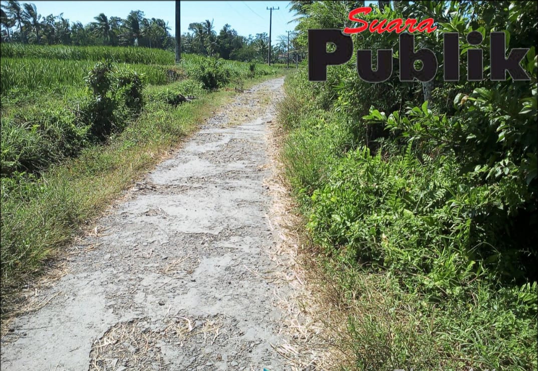 Jalan Desa Kejayan Rusak, Pemerintahan Desa Tutup Mata.