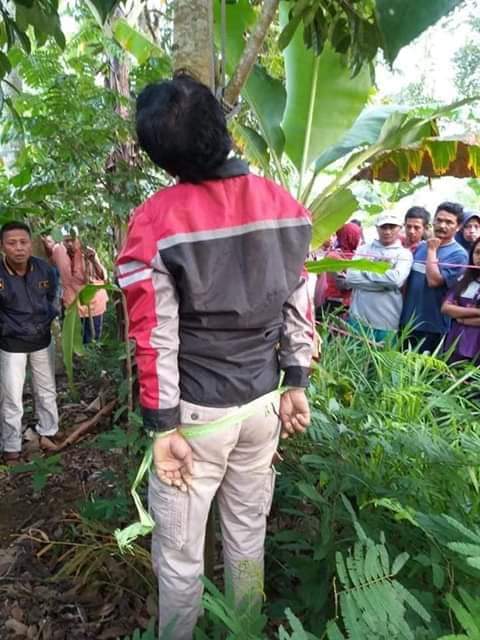 Ditemukan Pria Paruh Baya Tergantung di Pohon, di Duga Bunuh diri.
