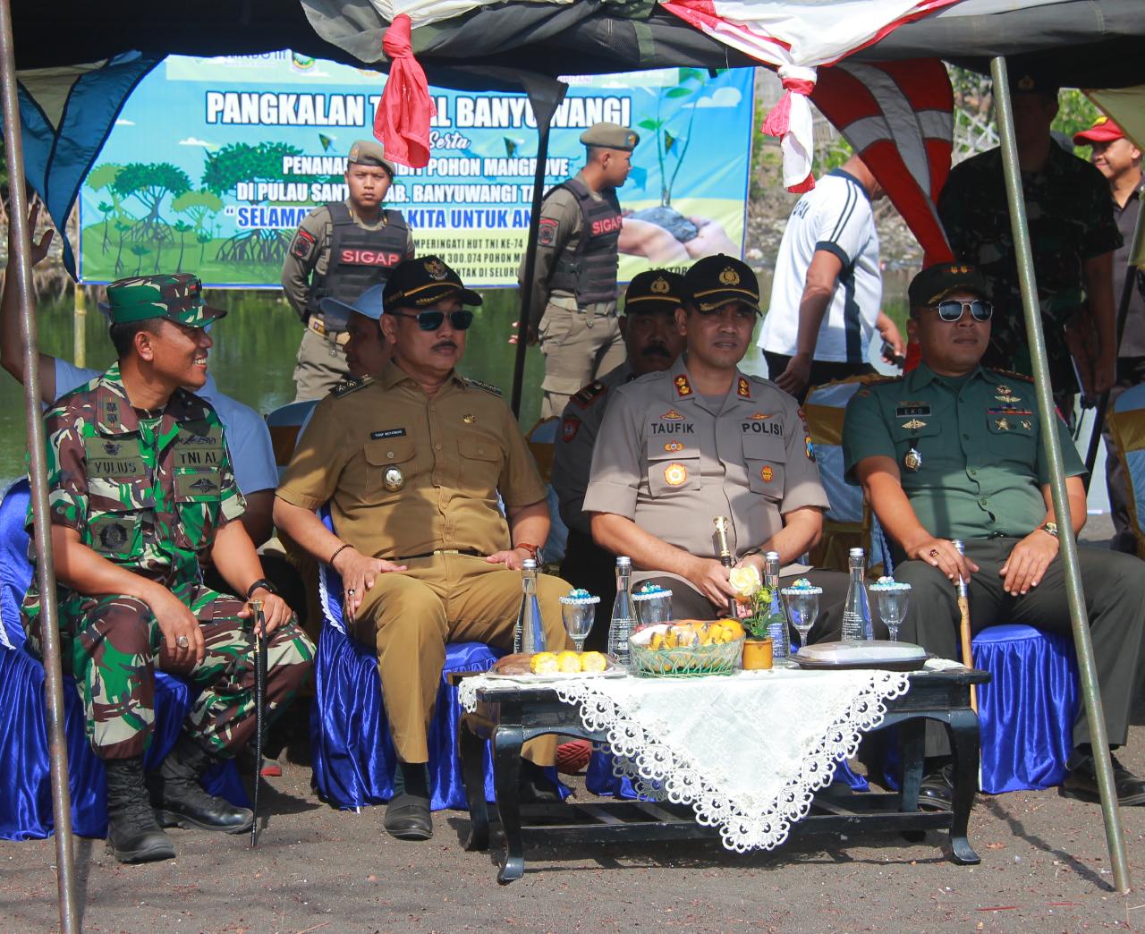 Hut Tni RI ke 74, Danlanal Banyuwangi Tanam Ribuan Pohon Mangrove