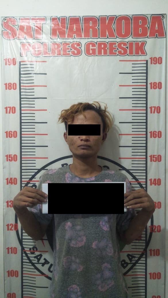 Polres Gresik Amankan, Seorang Penyalahguna Narkoba.