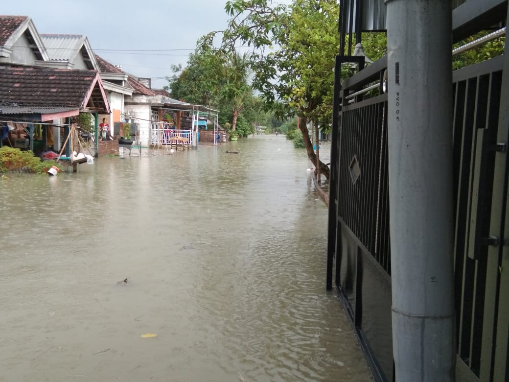 Imbas Jebolnya Tanggul Dusun Gorekan Kidul, Kali Lamong Meluap Banjiri Desa Cermen Dan Sekitarnya