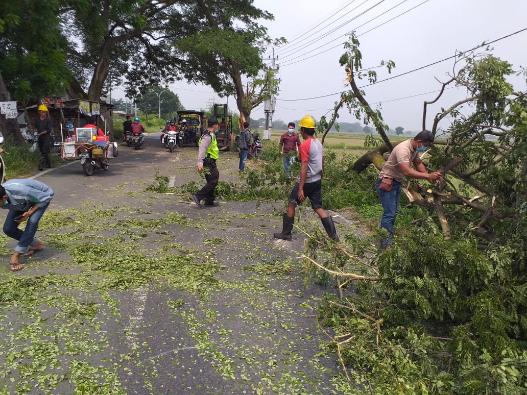 Sinergi Dengan Warga, Polsek Benjeng Bersihkan Pohon Tumbang