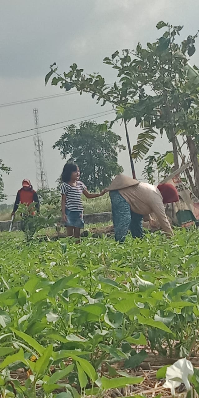 Orang Tuanya Lama Bercerai, Kini Ibunya Meninggal Karena Covid-19, Naura Kini Diasuh Kakeknya