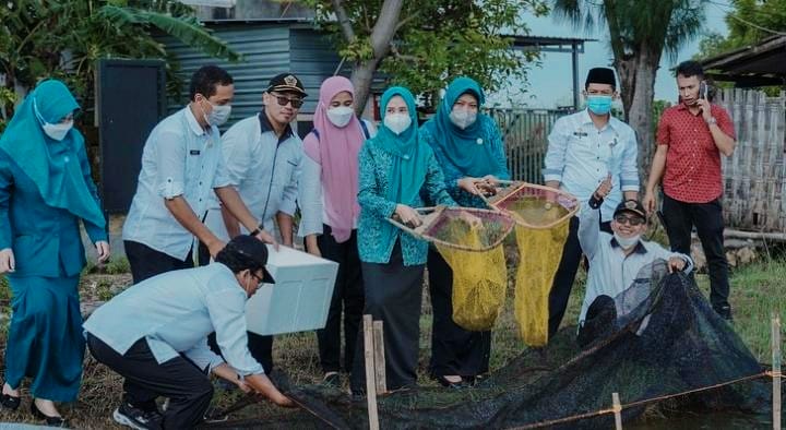 Masuk 6 besar, Desa Wadak Kidul Laksanakan penilaian Lomba Desa dan Lomba 10 Program Pokok PKK tingkat Kabupaten