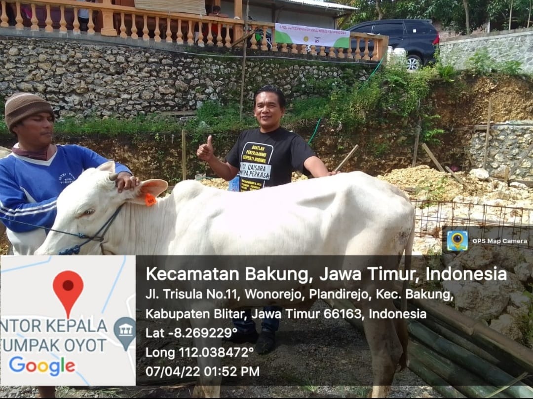 Wabah PMK pada Hewan Ternak, Dinas Peternakan Jatim Harus Bertanggung Jawab
