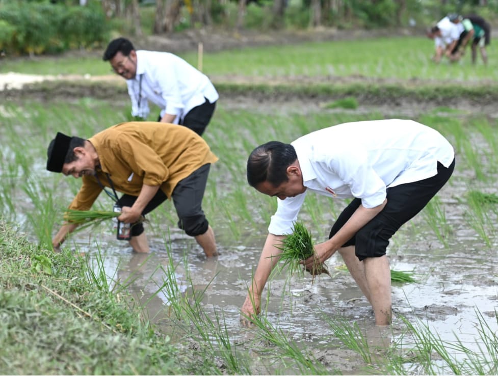 Kunjungan Kerja ke Jatim, Presiden Jokowi Apresiasi Petani Tuban Gunakan Pupuk Organik