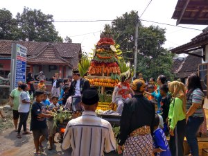 Dusun Bukaan Tarokan Kediri, Adakan Sedekah Bumi.